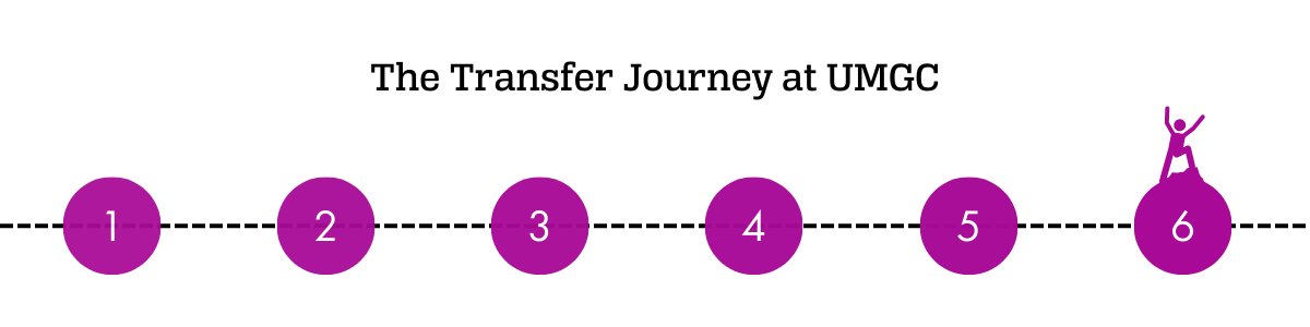 umgc transfer journey graphic-2